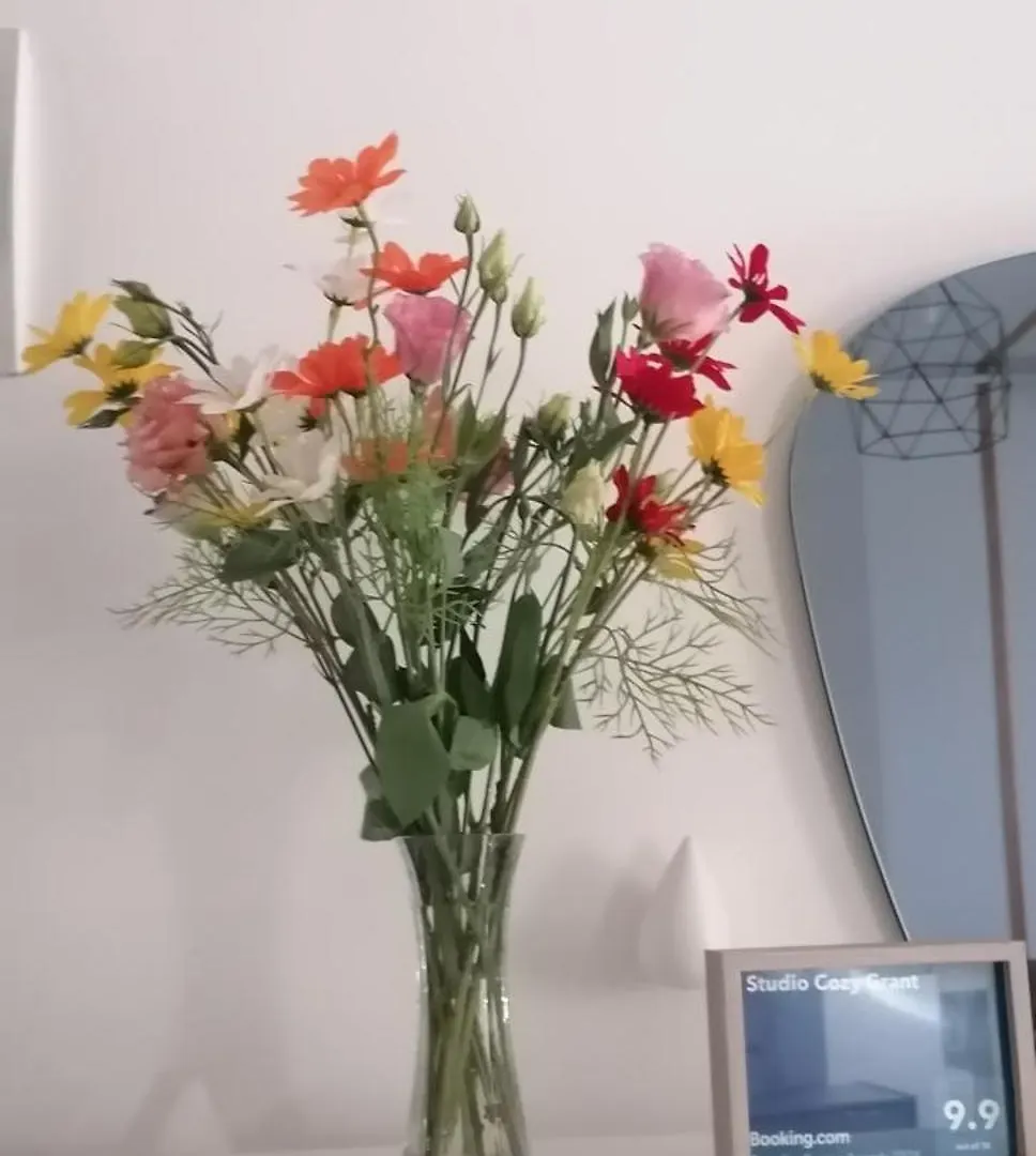 Studio Cozy Grant ブカレスト ルーマニア